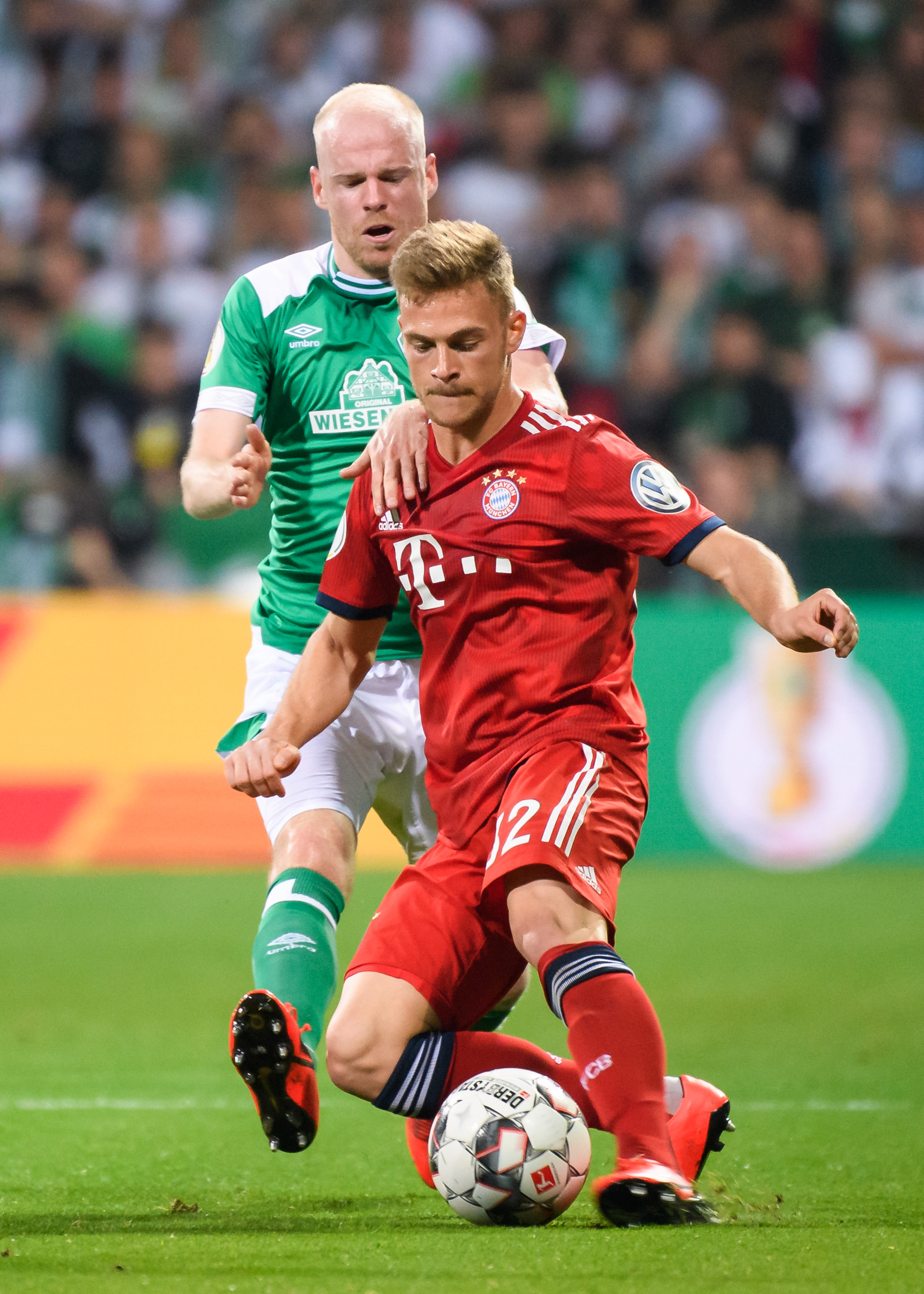 了许多球迷 了许多球迷